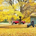 Fall Cleanup by Allstars Property Maintenance