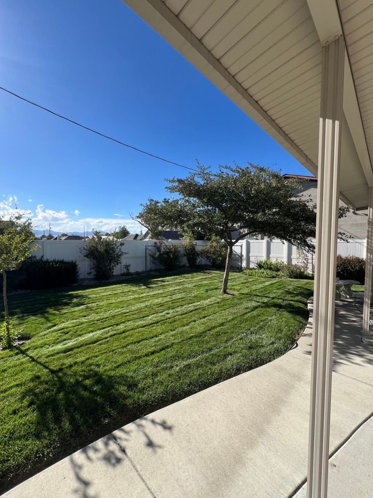 A real Allstars lawn job in the Salt Lake Valley