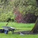 Spring Cleanup by Allstars Property Maintenance